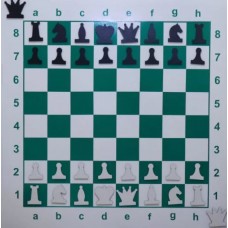 تابلو آموزش شطرنج فلزی